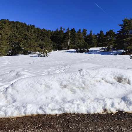 Appartement Greoliere Les Neiges Avec Exterieur Greolieres Eksteriør billede